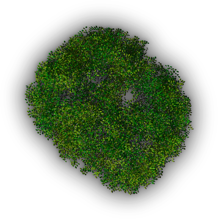 Index of /Mapping/Terrain/Plants/Trees